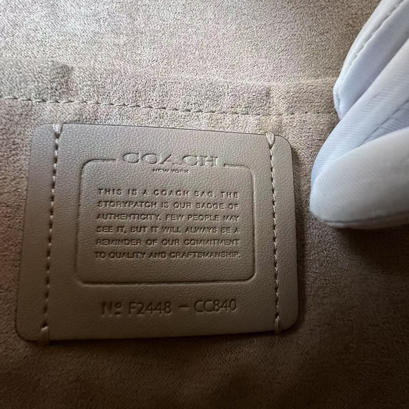 Coach Klare Crossbody Bag CC840 Crocodile-embossed Leather Silver /Stone NWT - Picture 8 of 9